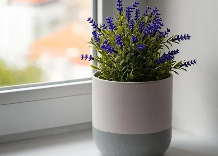 Apartament Gorgeous Rooftop 2-bed With Beautiful View